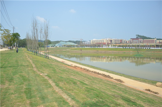 瓷都再增一顆璀璨“明珠”，景南風光更添風情