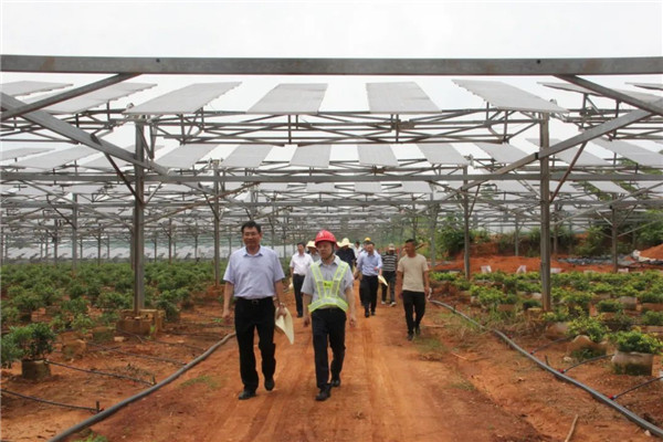 張小平赴景德鎮(zhèn)調研碳達峰碳中和工作