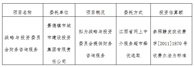 戰(zhàn)略與投資委員會財務咨詢服務計劃公告　　　　　　