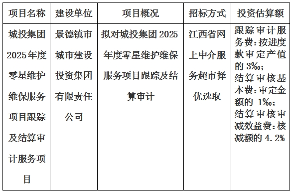 城投集團2025年度零星維護維保服務項目跟蹤及結算審計服務項目計劃公告
